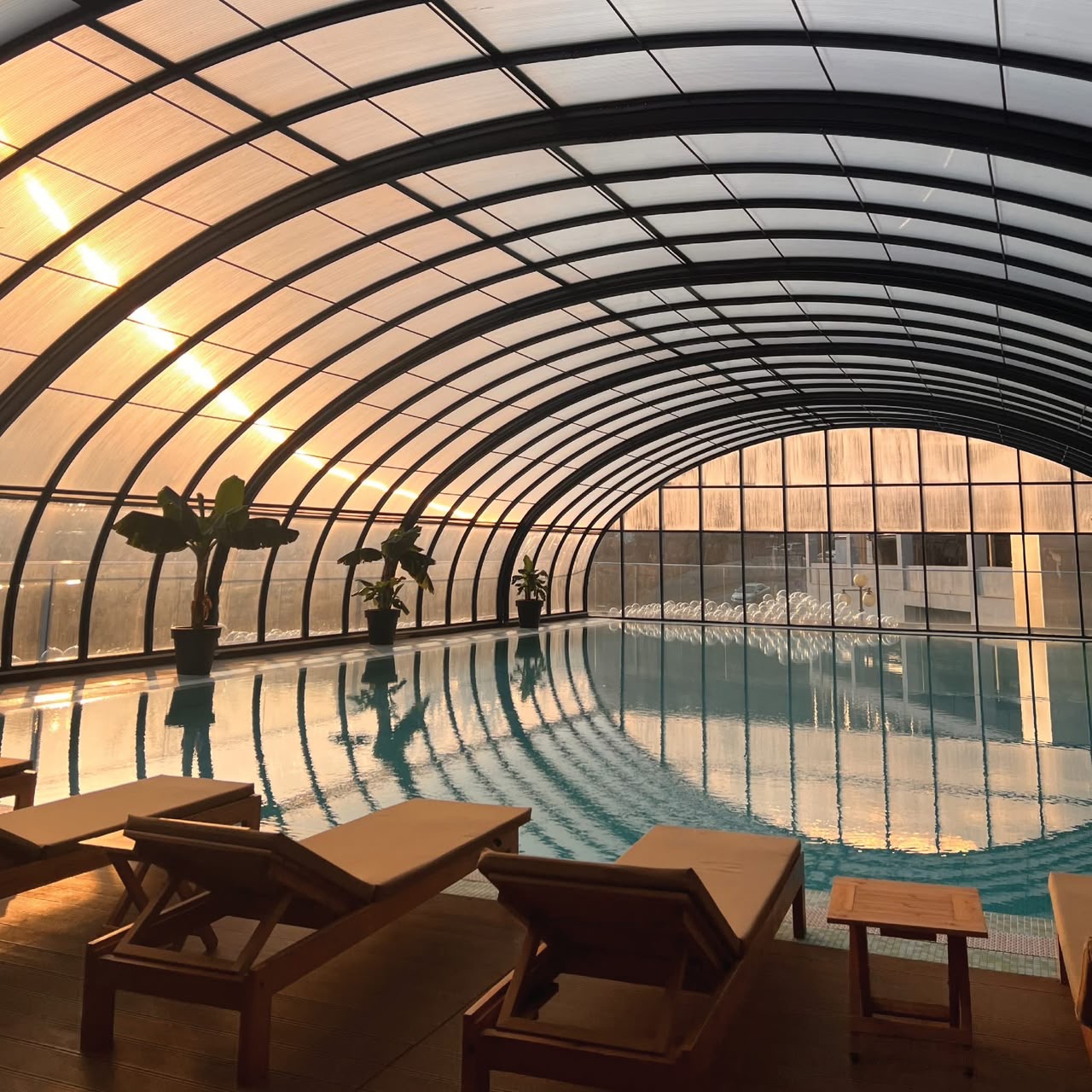 King David Apartments